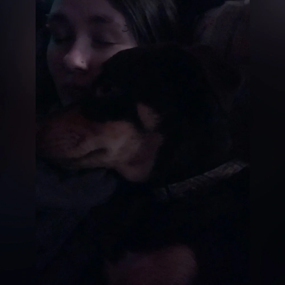 Still here! - Picture 3 of 12